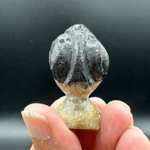 Load image into Gallery viewer, Euphoralite