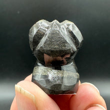 Load image into Gallery viewer, Alienite