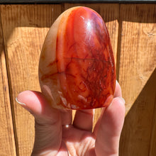 Load image into Gallery viewer, Carnelian Free Forms