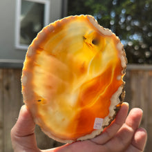 Load image into Gallery viewer, Agate Slices- Small