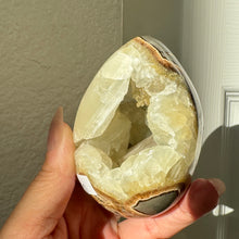Load image into Gallery viewer, Septarian Eggs