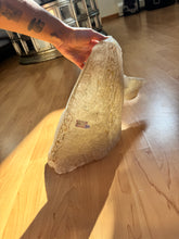 Load image into Gallery viewer, Elestial Citrine