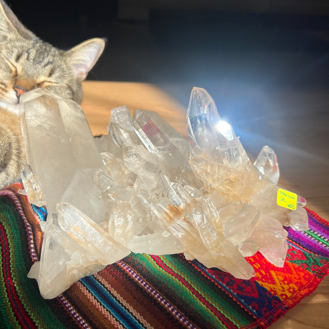 Himalayan Quartz Cluster
