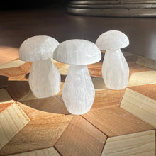 Load image into Gallery viewer, Selenite Mushroom
