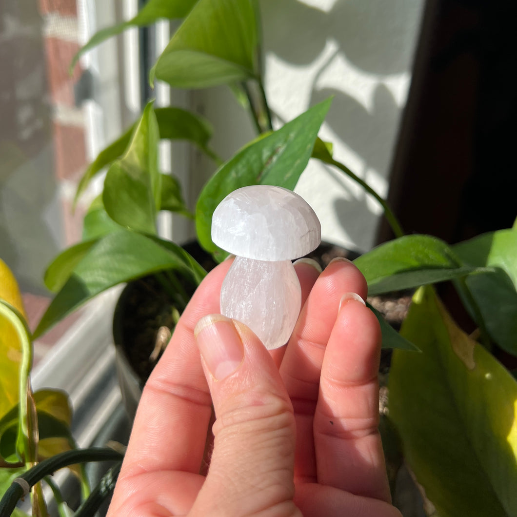 Selenite Mushroom