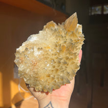 Load image into Gallery viewer, Honey Calcite Specimen
