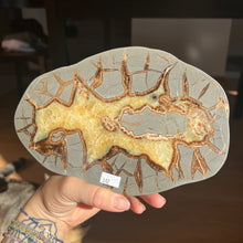 Load image into Gallery viewer, Septarian Slab
