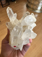 Load image into Gallery viewer, Clear Quartz Cluster
