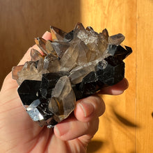 Load image into Gallery viewer, Black Tourmaline and Smoky Quartz
