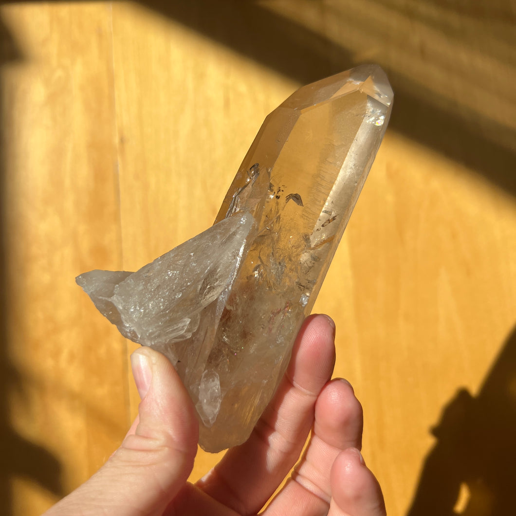 Smoky Lemurian Quartz