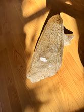 Load image into Gallery viewer, Elestial Citrine
