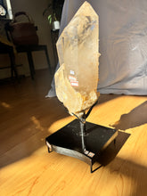 Load image into Gallery viewer, Tangerine Quartz Cluster
