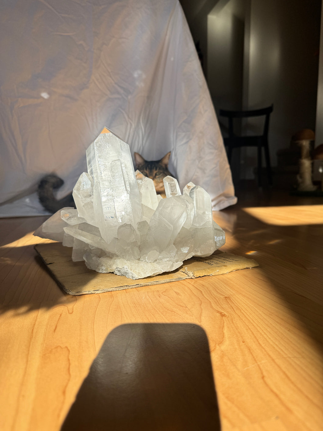 Clear Quartz Cluster - Large