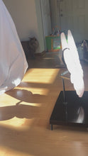 Load and play video in Gallery viewer, Rose Quartz Angel Wings #3
