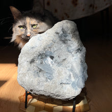 Load image into Gallery viewer, Celestite Specimen - extra quality
