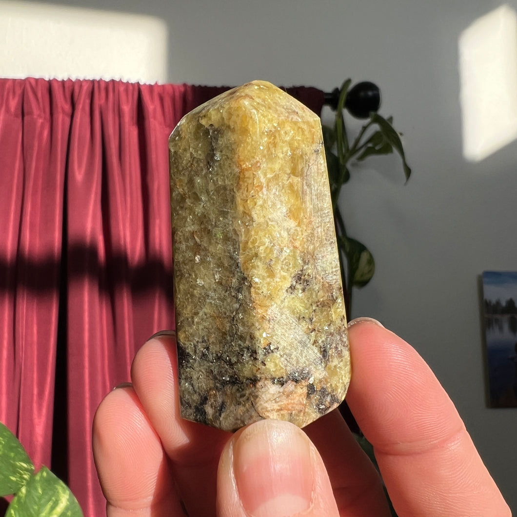 Euphoralite Pangea