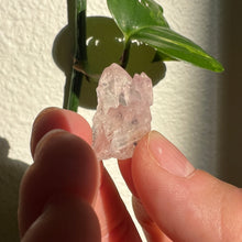 Load image into Gallery viewer, Crystalized Rose Quartz - small
