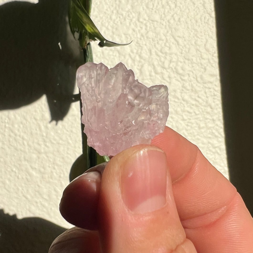Crystalized Rose Quartz - small