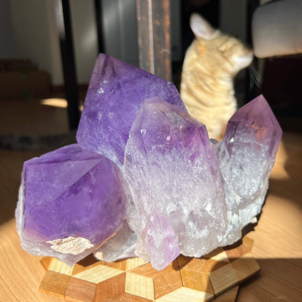 Amethyst Cluster with XL Points - Bolivia