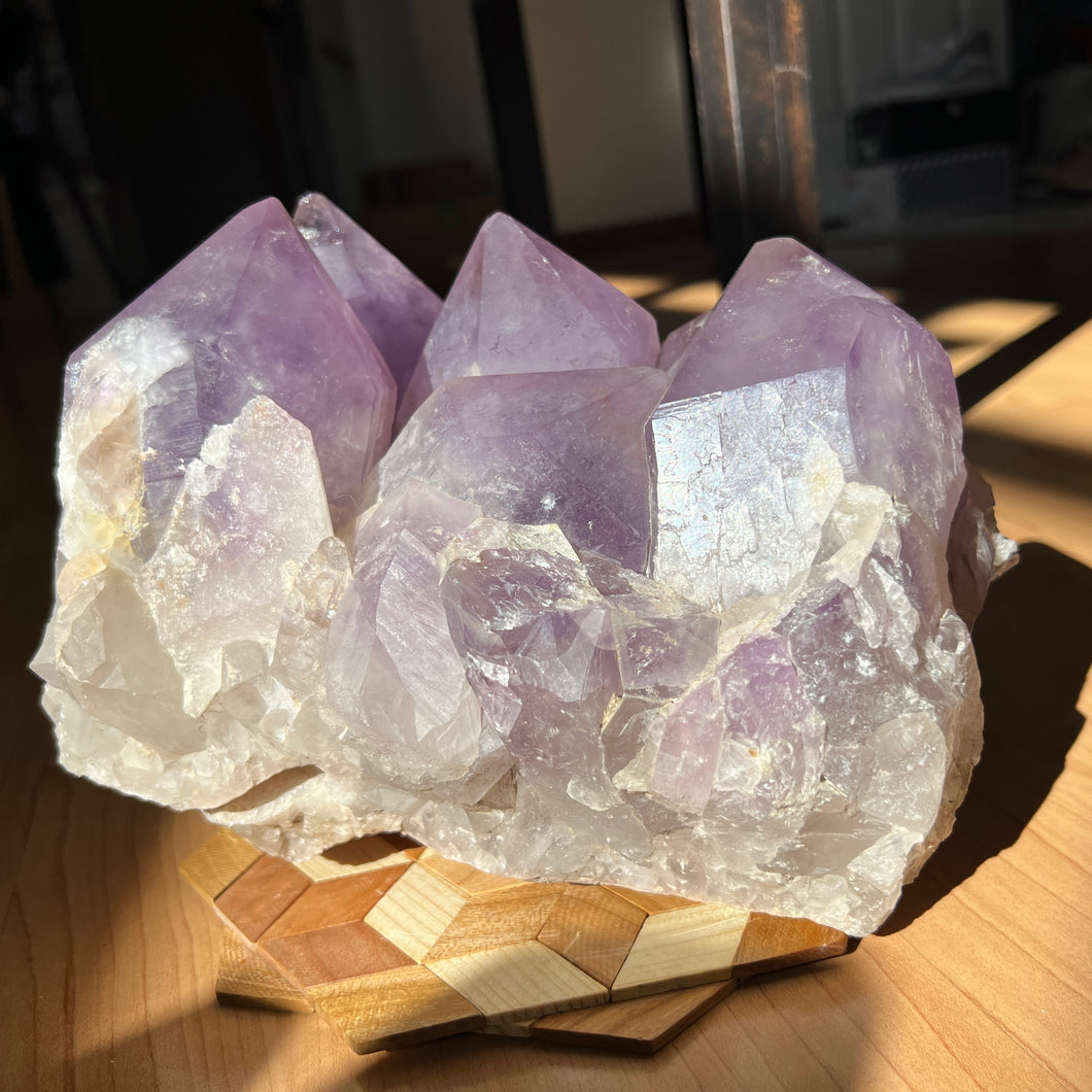 Amethyst Cluster with XL Points - Bolivia